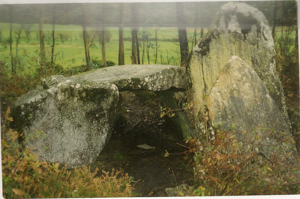 Ruta polos dolmens da comarca de Soneira